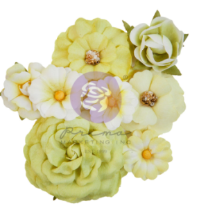 664572 Postcards from Paradise